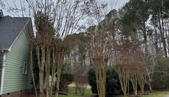 Landscaping Design for Chavez Landscaping in Pittsboro, NC