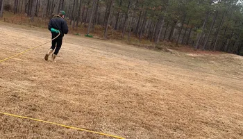 Pricing for Kathleen's Lawn & Shrub Care in Augusta, GA