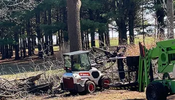 Tree Removal for Fransen's Tree Service  in Freeport, IL