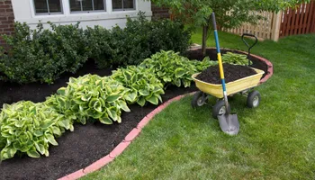 Mowing for All of the Above Landscaping in Orange Park, FL