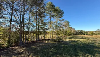 Land Clearing for Mud Creek Vegetation Management in Russellville, AL