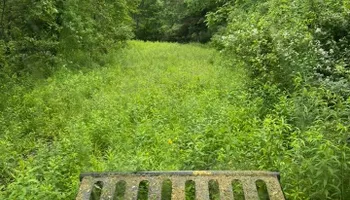 Mowing for Harpers Landscaping in Fredonia, NY