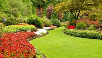 Lawn Care for Pro-Care LLC in Hudson, WI