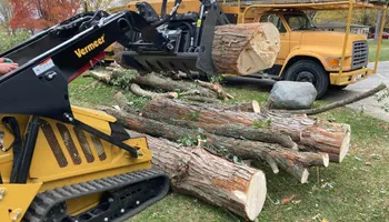 Tree Removal for Village Tree Service in Whitestown, IN