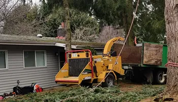 Tree Removal for A&J WA Tree Services in Kent, WA