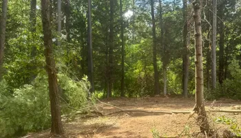 Land Clearing for Miller Farms Hay & Land Management in Knoxville, TN