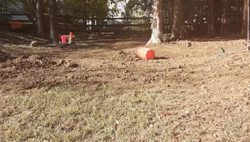 Tree Removal for Oakhurst Landscaping and Tree Service in Charlotte, NC