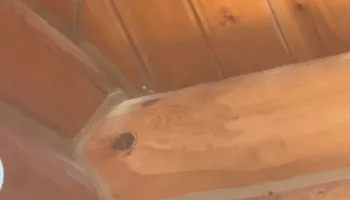 Log Home Restoration for Wild West Log home specialists in Corvallis, MT