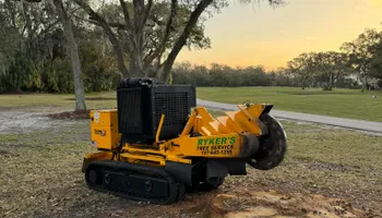 Tree Removal for Ryker's Tree Service in Dunedin, FL