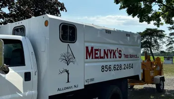 Tree Removal for Melnyk’s Tree Service in Salem County, NJ