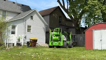 Tree Removal for Fransen's Tree Service  in Freeport, IL