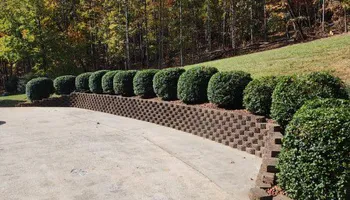 Lawn Maintenance for Brixton’s Lawn Care in Wilkesboro, NC