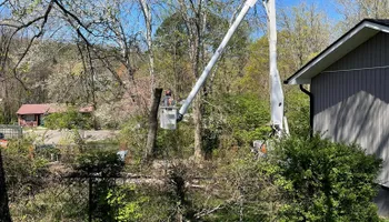 Tree Removal for Lucky’s Tree Removal and Landscape Services in Knoxville, TN