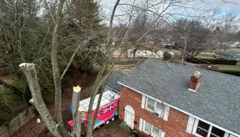 Tree Removal for SMITHs Tree Service in Columbus, IN