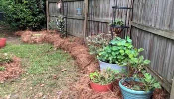 Lawn Maintenance for LC Lawn Care & Landscaping in Canon, GA