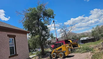 Tree Removal for Langston Tree & Landscape LLC in Canon City, CO
