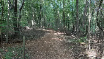 Forestry Mulching for Southern Land Solutions Forestry Mulching, LLC in Cleveland, NC