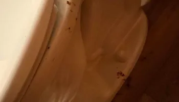 Residential Cleaning for A+ Cleaning and Services LLC in Deep Creek Lake, MD 