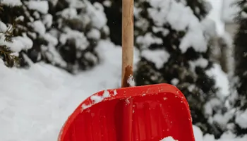 Driveway Design & Build for Lewis Oaks Landscaping in King and Queen County, VA