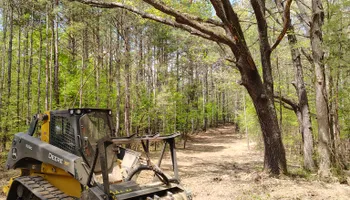 Land Clearing for 5 Star Land Management in Beech Bluff, TN