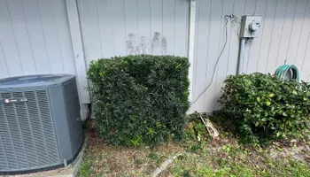 Mowing for Young's Lawn Services LLC in Ocala, FL
