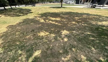 Lawn Aeration for North Texas Groundscaping in Frisco, TX