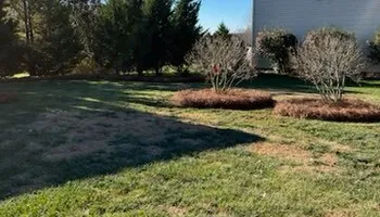 Lawn Maintenance for Dream Cuts Landscaping and Lawn Care LLC in Gastonia, NC