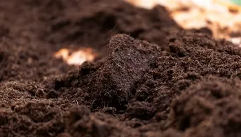 Weed Control & Fertilization for Landscape Legends in Roanoke, TX