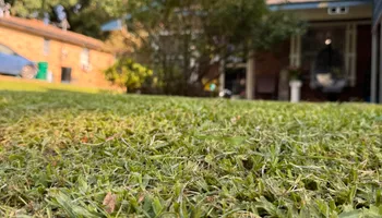 Mowing for Avery’s Lawn Care in Monroe, LA