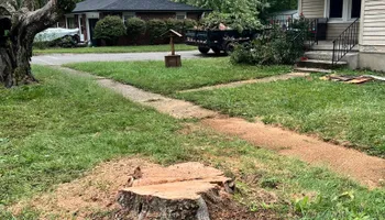 Tree Removal for Kadin’s Tree Service in North Vernon, IN