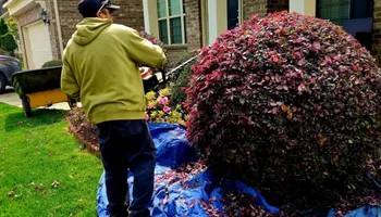 Lawn Maintenance for Surprising Odyssey in Gibsonville, NC