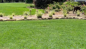 Sod Installation for Roberts Lawn & Landscape in Steinhatchee, FL