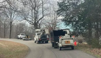 Tree Removal for Ross Family Tree Service LLC  in Hohenwald, TN