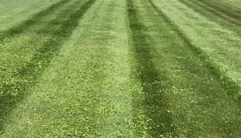 Mowing for AB Lawn Care in Plymouth, IN