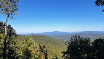 Land Clearing for Dutch Mountain Excavating in Sevierville, TN