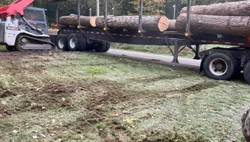 Tree Removal for Kadin’s Tree Service in North Vernon, IN