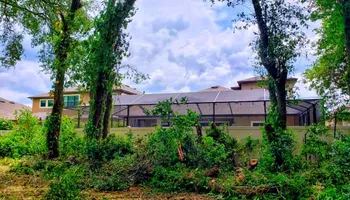 Tree Removal for The Third Day Land Management Company  in Tampa,  FL