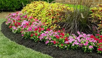 Fall and Spring Clean Up for RR Tree Service & Lawn Care LLC in Baraboo,  WI