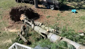 Kitchen Renovation for JDI Customs in Nashville, TN