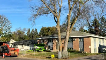 Tree Removal for Allstate Tree Service and Crane in Minneapolis, MN