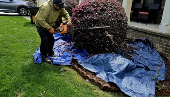 Lawn Maintenance for Surprising Odyssey in Gibsonville, NC