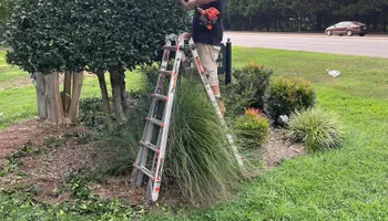 Tree Removal for Oakhurst Landscaping and Tree Service in Charlotte, NC