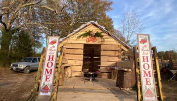 Dove Tail Cabins for Jrs. Sawmilled Lumber in Munford, AL