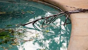 Residential Pool Services for Splash Pros in Parrish, FL