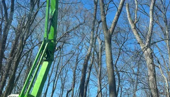 Tree Removal for Fransen's Tree Service  in Freeport, IL