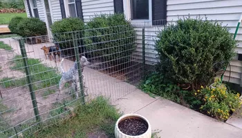 Mowing for Prime Landscaping 219 in Lake Station, IN