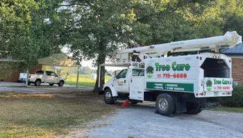 Tree Removal for W D Giampa Lawns and Landscape Inc. in Independent Hill, VA
