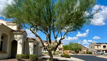 Lawn Maintenance for Grand Canyon State Landscape Inc. in Surprise, AZ