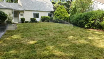 Tree Removal for W D Giampa Lawns and Landscape Inc. in Independent Hill, VA