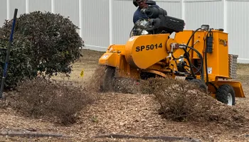 Tree Removal for Tucker's Tree Service and Stump Grinding in Lugoff, SC